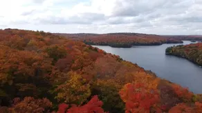 Cottage in Nature's Paradise - Image 5