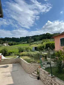 a casetta between vineyards - Image 3