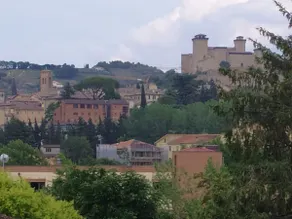 a casetta between vineyards - Image 2