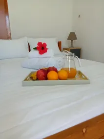 Casa Artemis - Image 5