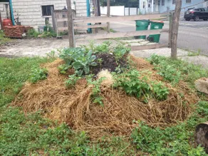 Urban Rustic Eco-Homestead - Image 5