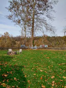 Riverfront Home• Shenandoah River•Fishing•Canoe - Image 3