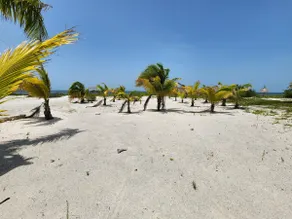 Casa Arena in San Crisanto - Image 5