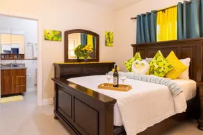 Welcome to our Ocean View Villa Solar/Starlink/Gym - Image 5