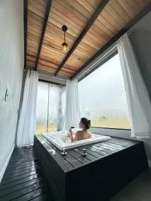Chalet with a view of the araucaria trees - Image 2