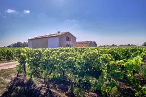 Logis des Vignes in Saint-Emilion - Image 2