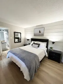 Beautiful Mountain Studio in The Blue Mountains - Image 4