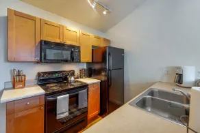 Central, 1 BR 1 BA, Fenced, Cozy, Guesthouse - Image 4