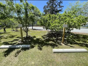 Pelican Cottage - Image 3