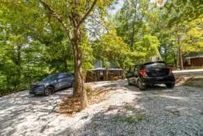 Pet Friendly-Buffalo Ntl River, Jasper, Harrison - Image 5