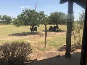 KJCC Dream Acres - Image 3