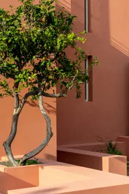Melissi 1932 - Seaside Villa and Resort - Image 4