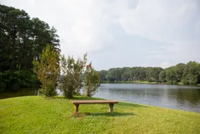 *UA Events, 5 bdrm Home by Lake, 5 mil to Stadium* - Image 2