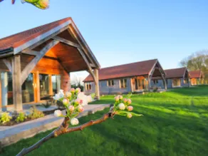 3 Bedroom Lodge (Pet Friendly) - Hay's Wood - Image 2