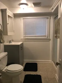 Comfy Garden Suite in Andersonville - Image 4