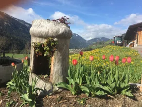 Cozy apartment with mountain views in a quiet location, suitable for families - Image 4
