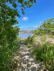 Styrsö Cozyhouse - Image 2