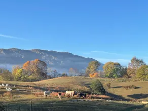 Farm house with animals 10 minutes from Big Stone - Image 3