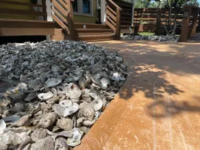 Oyster Cottage (Wheelchair Friendly) - Image 4