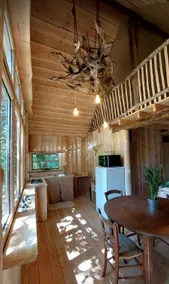 Les Cabanes des Landes – Salamander Cabin - Image 2
