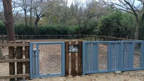 A quiet house in the woods with a dog run [Nasu Kogen] - Image 3