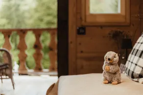 Cozy little cottage (Mazot) in Samoëns Grand Massif - Image 5
