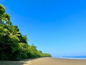 Ballena Escape Luxury Beach Dream Condo - Image 2