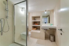 DREAM APARTMENT WITH POOL area FARNESINA POLICLINICO GEMELLI ROME - Image 4