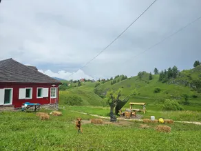 The House on the Rock - Sirnea - Image 5