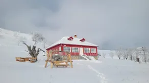 The House on the Rock - Sirnea - Image 2