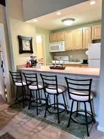 Slope-Side Condo, Pet Friendly w/ Fireplace &Views - Image 4