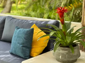 Solea Villa Tropical - Image 3