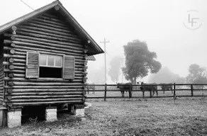 Mountain Refuge Cabin - Image 5
