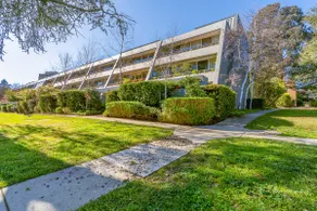 Stylish apt facing the historic Telopea Park - Hosted by CanStay - Image 3