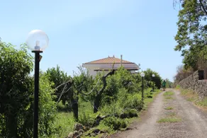 Lemon grove - Casa Arancio - Image 3
