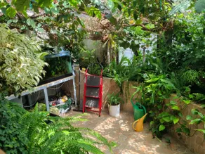 Villa Remata - Image 5