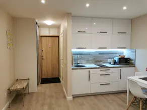 InDream New Cosy Modern Studio - Image 4