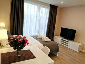 InDream New Cosy Modern Studio - Image 2