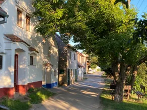 ApartmentKrálíček on the wine trail - Image 5