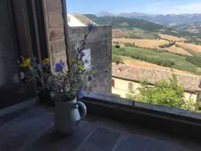 Views from the roof of Le Marche - Image 3