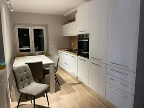 Apartment no. 3, Lake View - Image 4