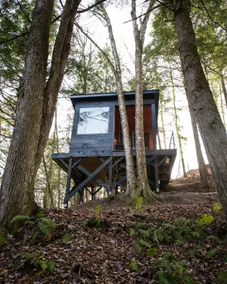 Cady’s Falls Cabin - Image 2