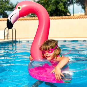 Casa de Flamingos - Image 5