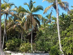 Charming beachfront cabin - Image 2