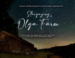 Sunset Cabin in Your Own Private Stargazing Field - Image 4