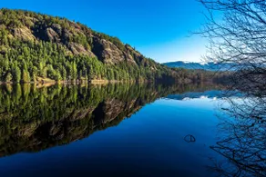 Hideaway Haven by the Lake - Hot Tub & Sauna - Image 5