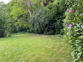 Quiet 2 room apartment with terrace and garden - Image 5