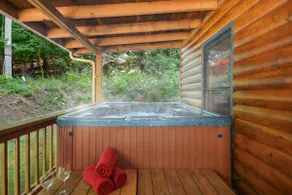 31 Acre Riverside Retreat! Great fishing! Hot tub - Image 4