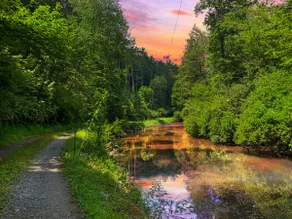 31 Acre Riverside Retreat! Great fishing! Hot tub - Image 5