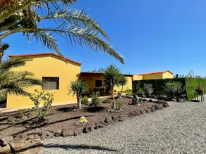 Rosa de los james - Image 3